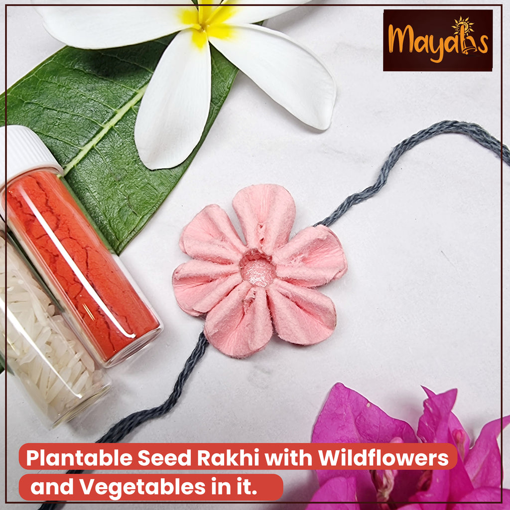 Daisy Delight Rakhi
