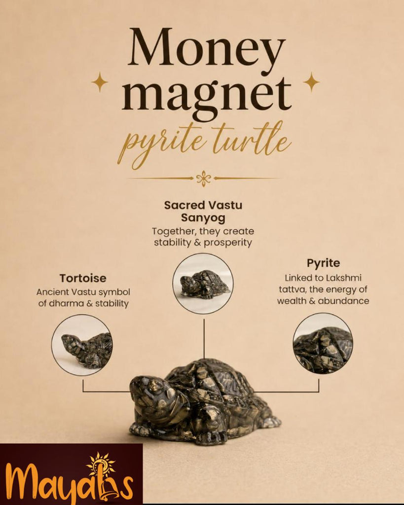 Money Magnet Pyrite Turtle
